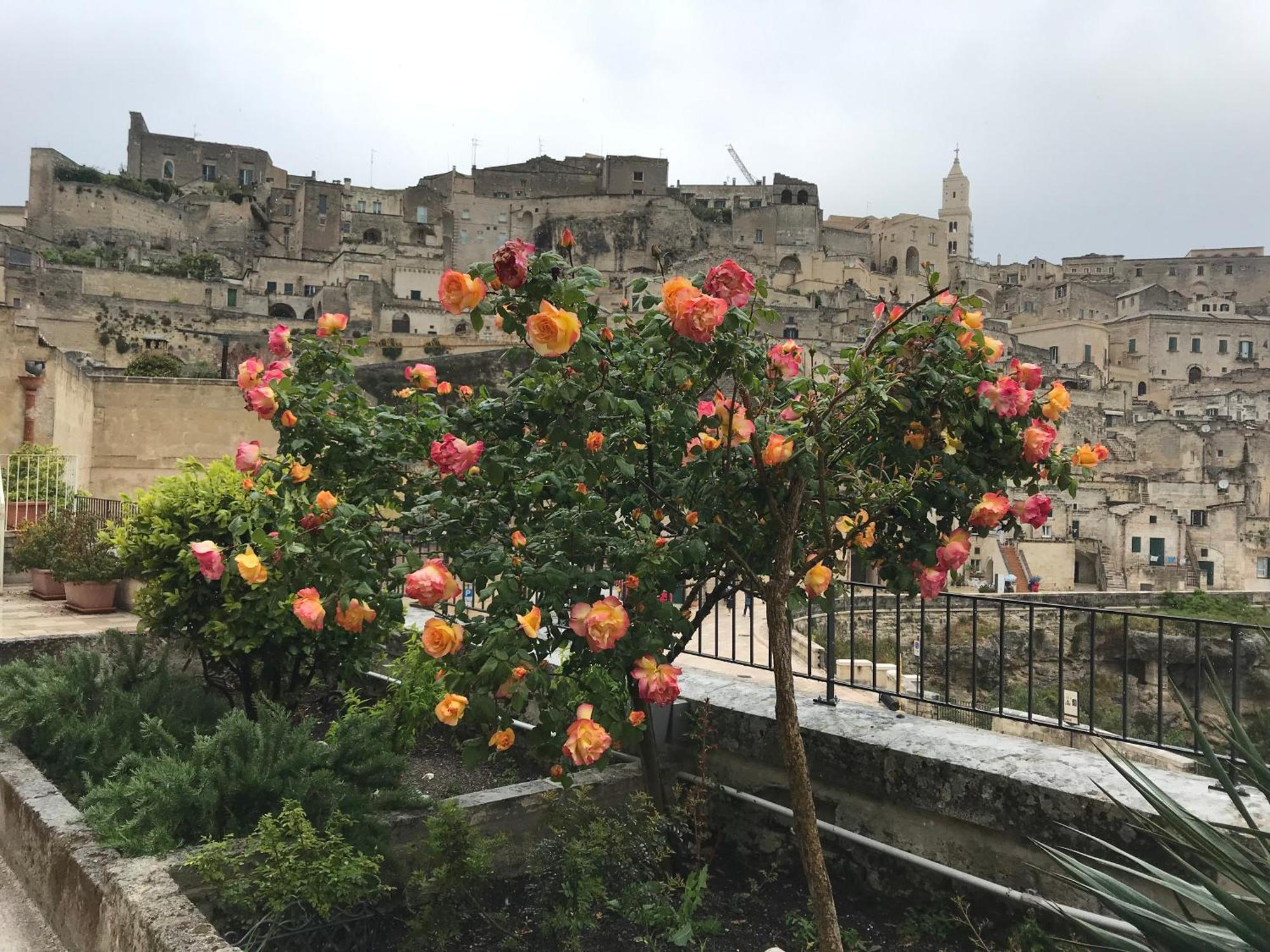 La Corte Dei Pastori Matera Exterior foto